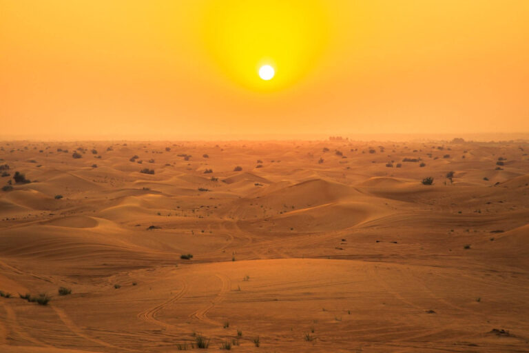 27747363_1581074811930266_3116401376989150079_o-2